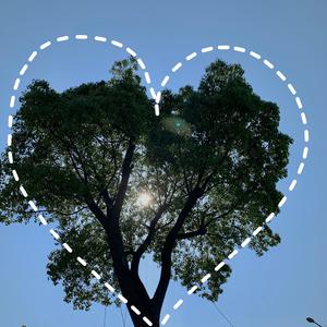 亚洲美女屁股眼交14
